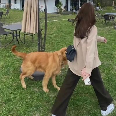 屈伏塔与我